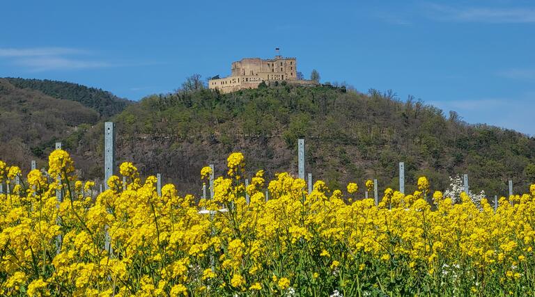 Wandern, Waldbaden, Wagen aufladen