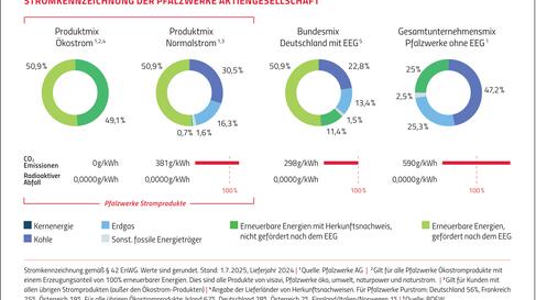 Stromkennzeichnung in der Stromrechnung Stromkennzeichnung in der Stromrechnung