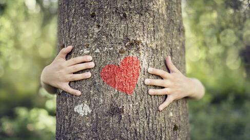 Baum Hand Herz Baum Hand Herz