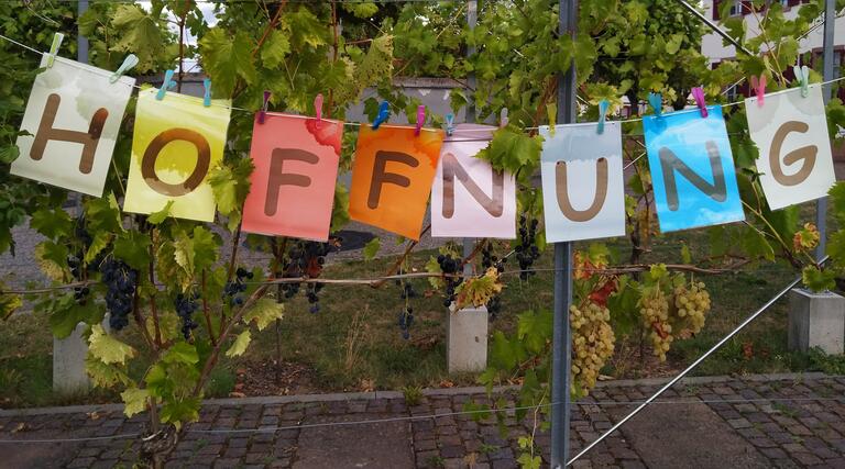 Das Gemeinsame fehlt