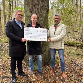 Dank Purstrom-Projekt werden alte Eichen gerettet | © Bildnachweis: © Pfalzwerke