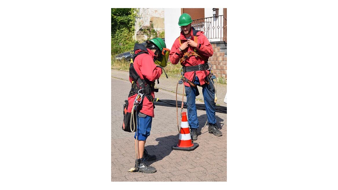 Netzteam Pfalzwerke