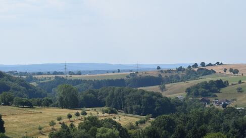 Saarpfalz Pfalz Landschaft