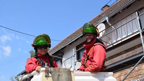 Pfalzwerke Netzteam Pfalzwerke Netzteam