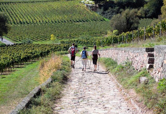 Auf den Spuren der Römer wandeln