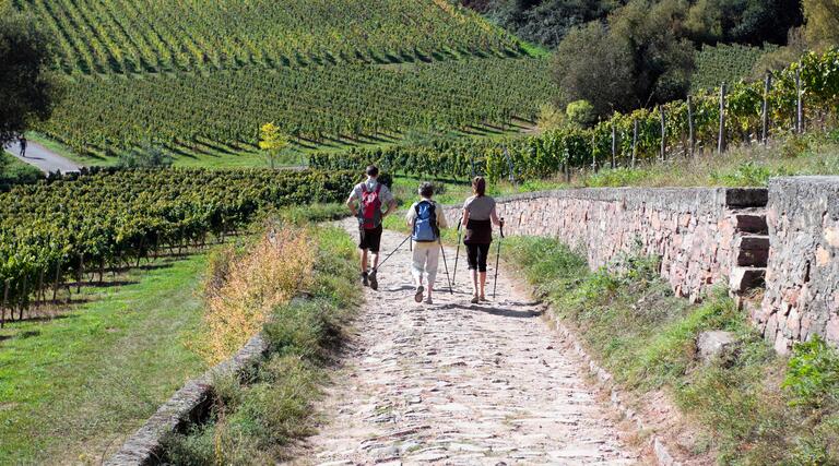 Auf den Spuren der Römer wandeln