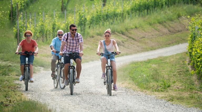 Radtour durch die Südpfalz: Pleisweiler - Neupotz