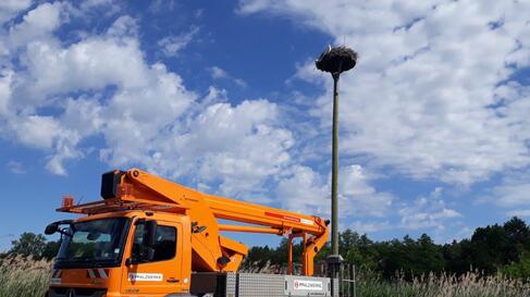 storchenberingung steiger mast storchenberingung steiger mast