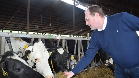 Dr. Karl Landfried beim Kühe füttern | © Pfalzwerke Dr. Karl Landfried, Kühe, Kuhstall | © Pfalzwerke